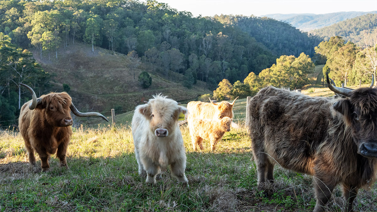 Farm Management